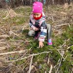 Фотодокумент 9743 Фотодокумент 9743