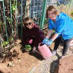 Фотодокумент 9779 Фотодокумент 9779